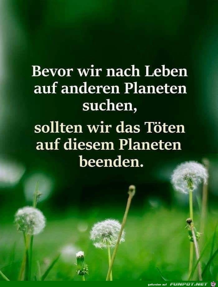 bevor wir nach Leben..