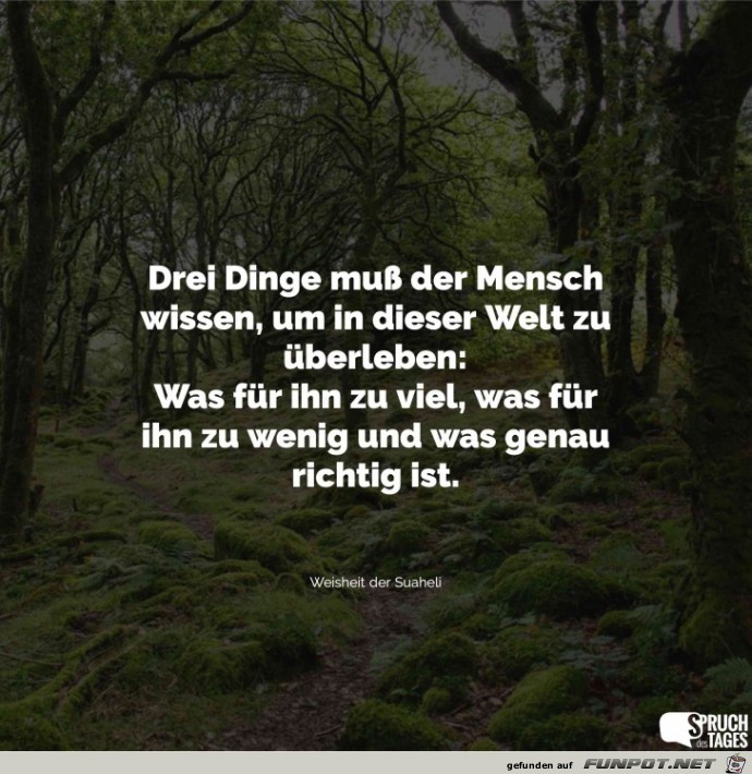 drei dinge muss der mensch