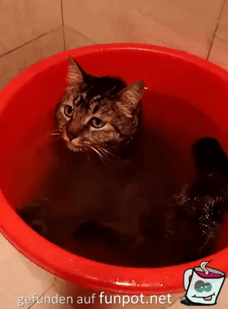 Ganz gechillt Ganz gechillt
