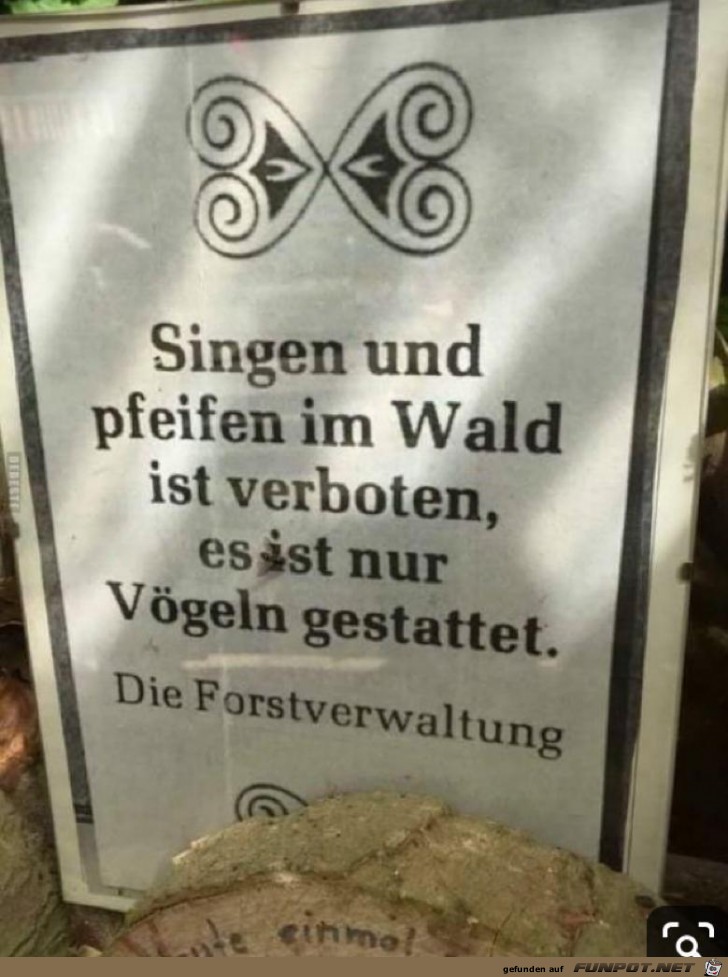 Im Wald Im Wald