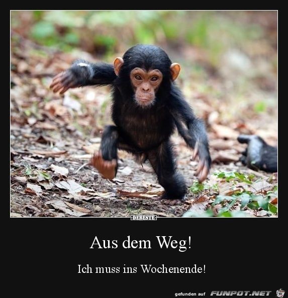 aus dem Weg.. aus dem Weg..