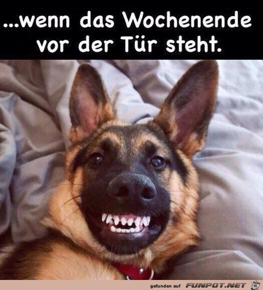 Bald ist Wochenende