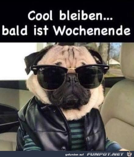 Cool bleiben Cool bleiben