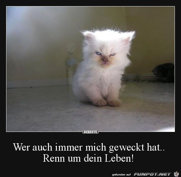 renn um Dein Leben renn um Dein Leben