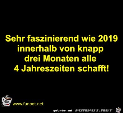 2019 2019