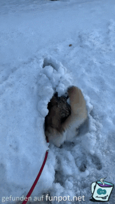 Tiefschnee Tiefschnee
