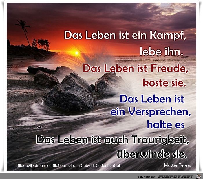 das leben ist ein kampf das leben ist ein kampf