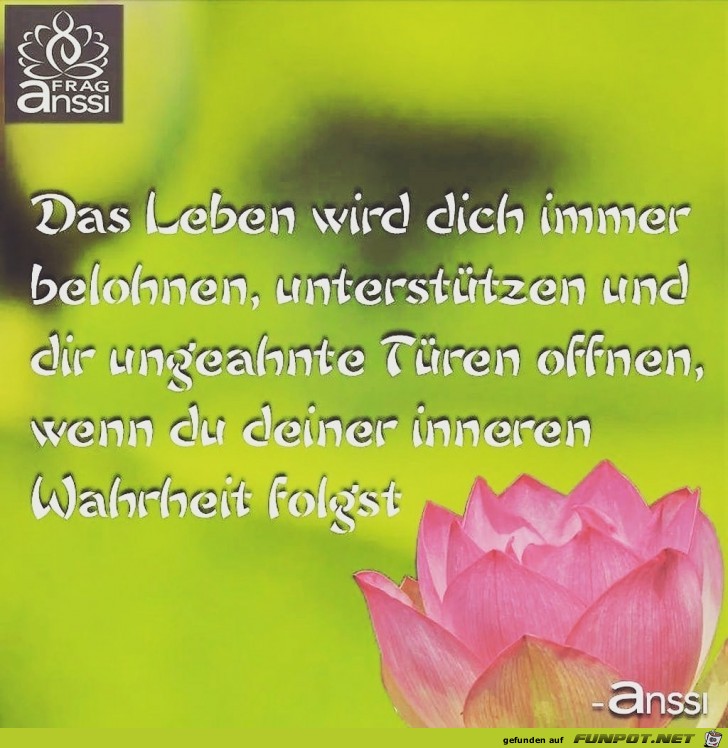 das leben wird dich immer belohnen das leben wird dich immer belohnen