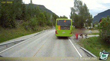 Glück gehabt 37 Glück gehabt 37