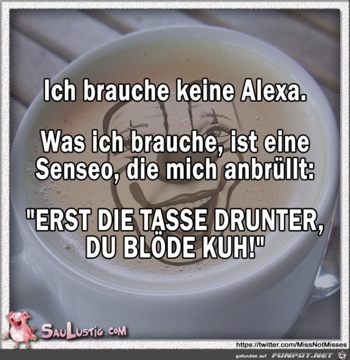 Ich-brauche-keine-Alexa Ich-brauche-keine-Alexa
