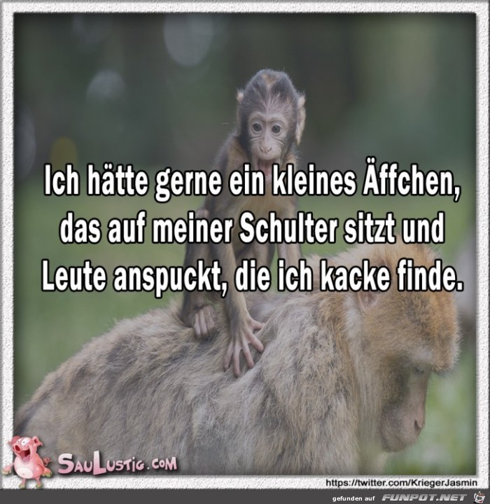 Ich-haette-gerne-ein-kleines-Aeffchen Ich-haette-gerne-ein-kleines-Aeffchen