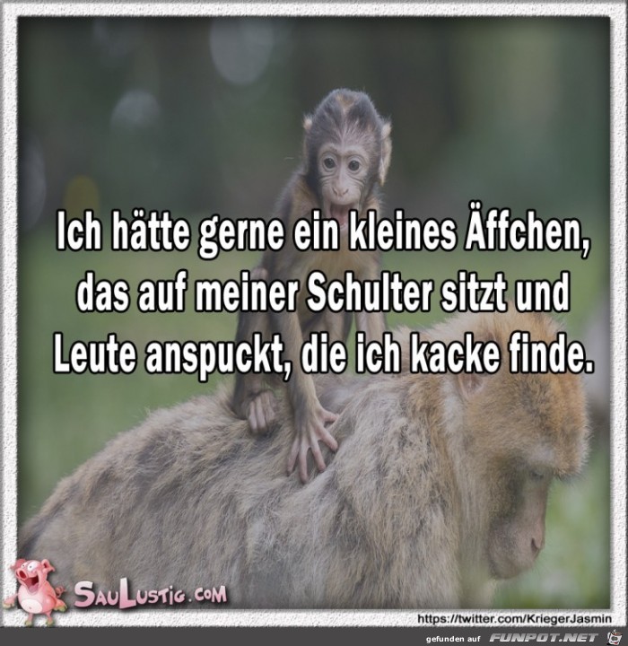 Ich-haette-gerne-ein-kleines-Aeffchen