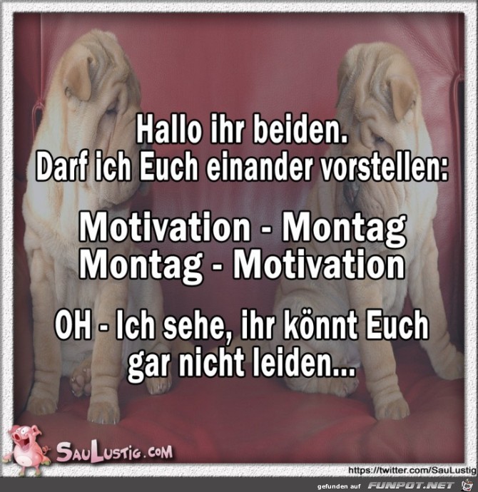 Motivation-Montag