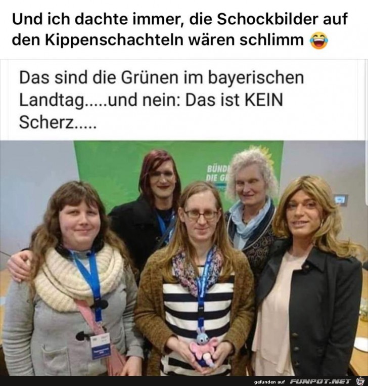 Die Grünen Die Grünen