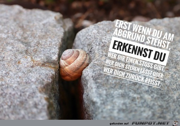 erst wenn du a Abgrund stehst erst wenn du a Abgrund stehst