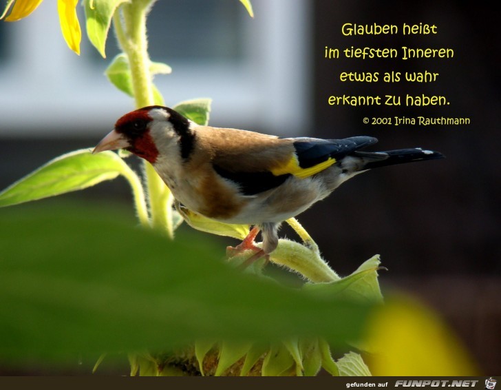 glauben hei sst im tiefsten Inneren glauben hei sst im tiefsten Inneren