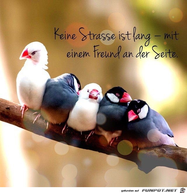 keine strasse ist lang keine strasse ist lang