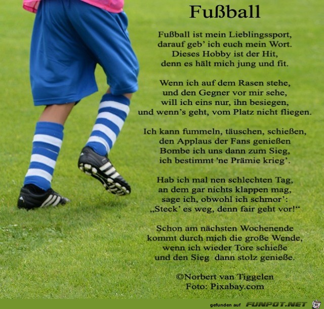 fuball 2019