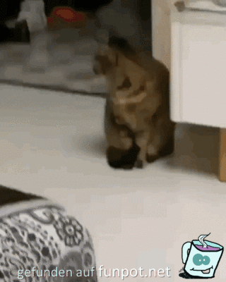 Das ist ein Katzenbuckel Das ist ein Katzenbuckel