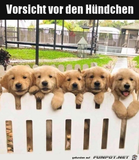 Achtung Achtung