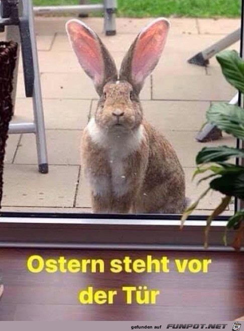 Ostern Ostern