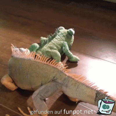 Ein Feind Ein Feind