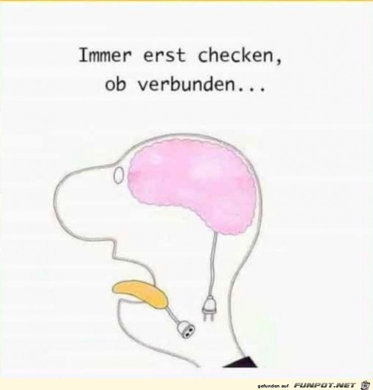 Immer... Immer...