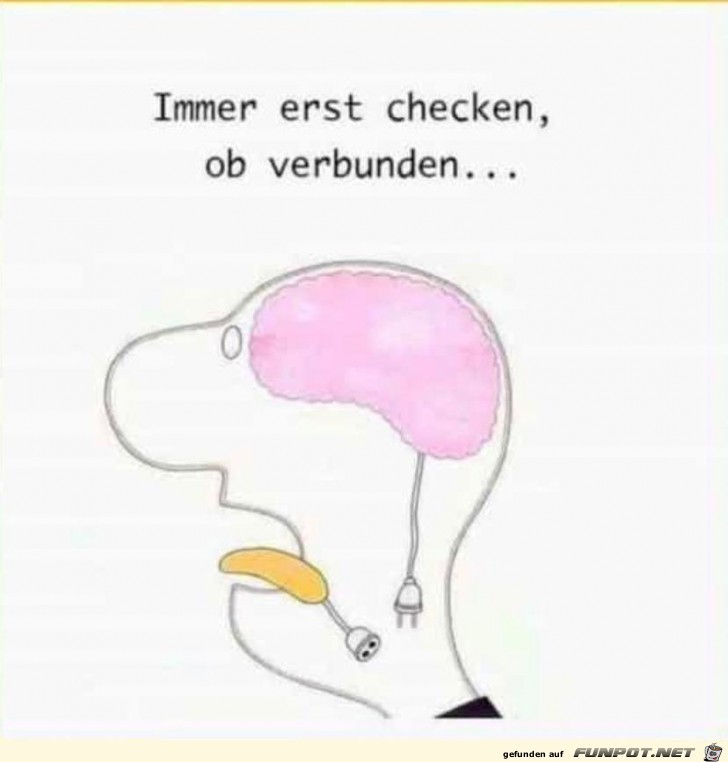 Immer...