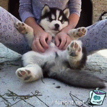 Massage Massage