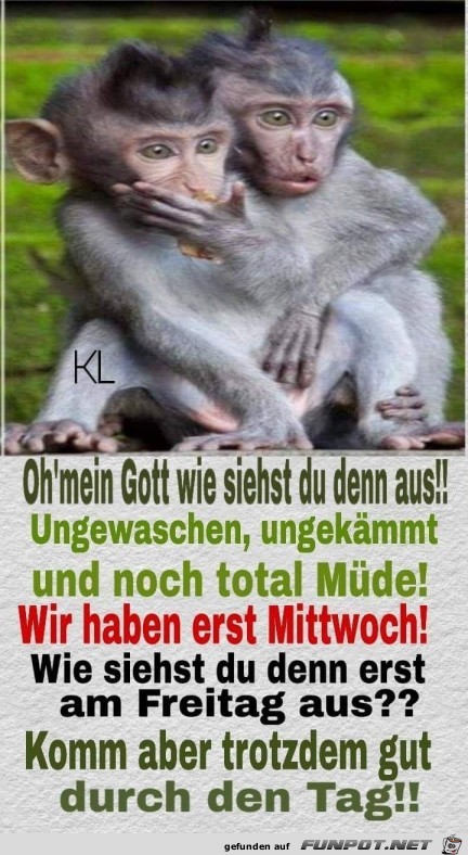 Wie siehst du aus