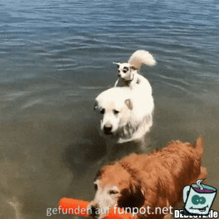 Super Transportmittel Super Transportmittel