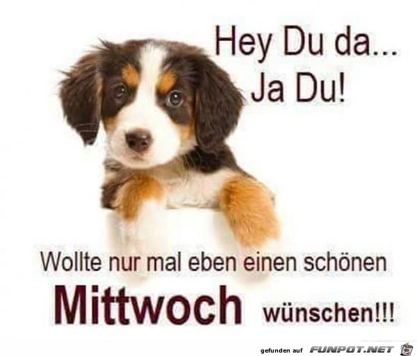 Schönen Mittwoch Schönen Mittwoch