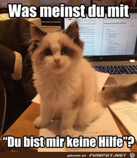 Wie meinst du das Wie meinst du das