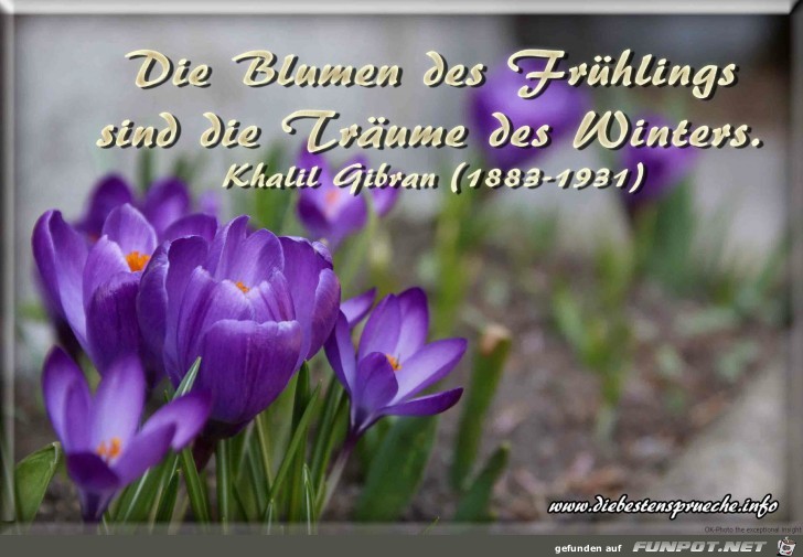 Die Blumen des Fruehlings Die Blumen des Fruehlings