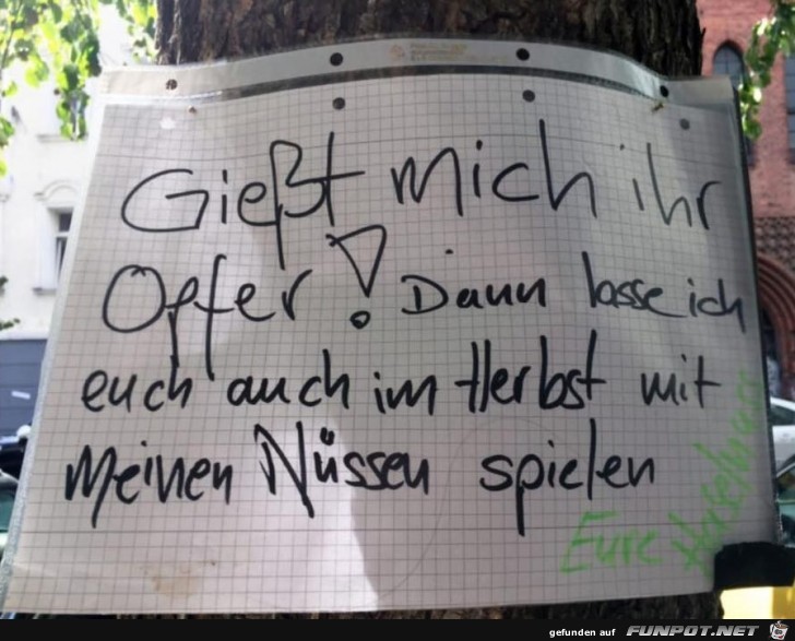 Klare Ansage Klare Ansage