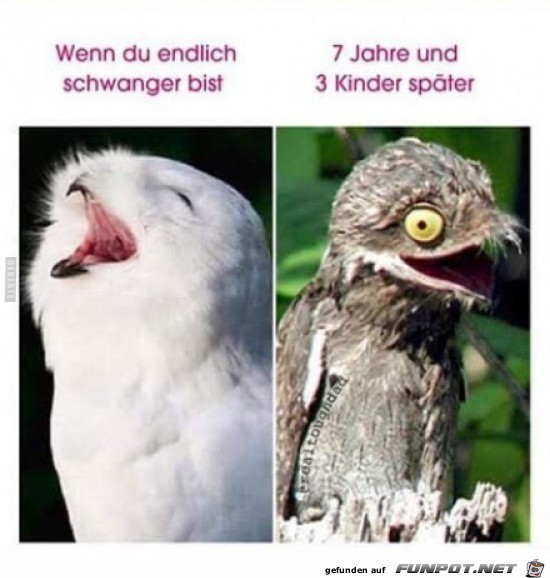 So ndern sich die Zeiten