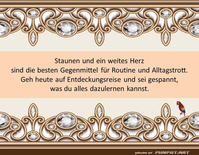 Staunen und ein weites Herz Staunen und ein weites Herz