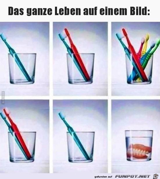 Das ganze Leben