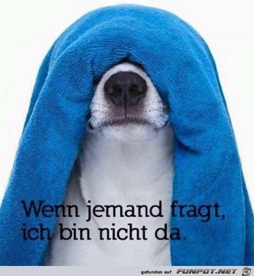 bin nicht da