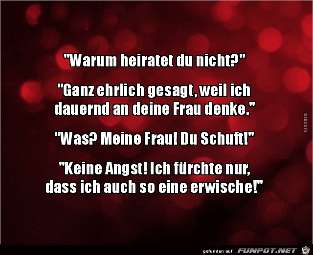 warum heiratest du nicht?..... warum heiratest du nicht?.....