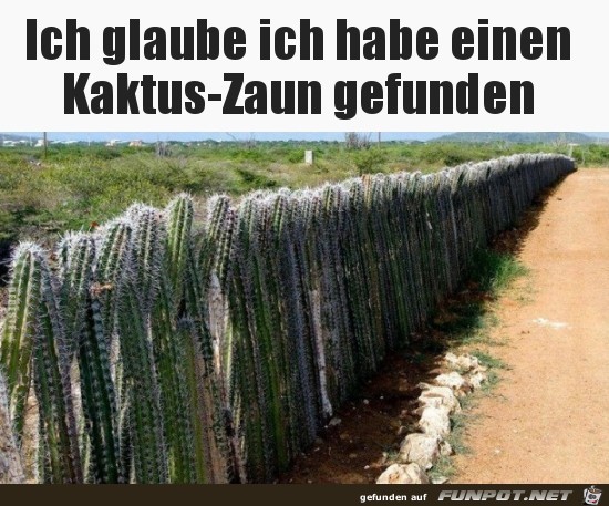 Der ist sicher Der ist sicher