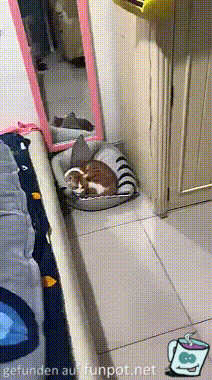 Geheimversteck Geheimversteck