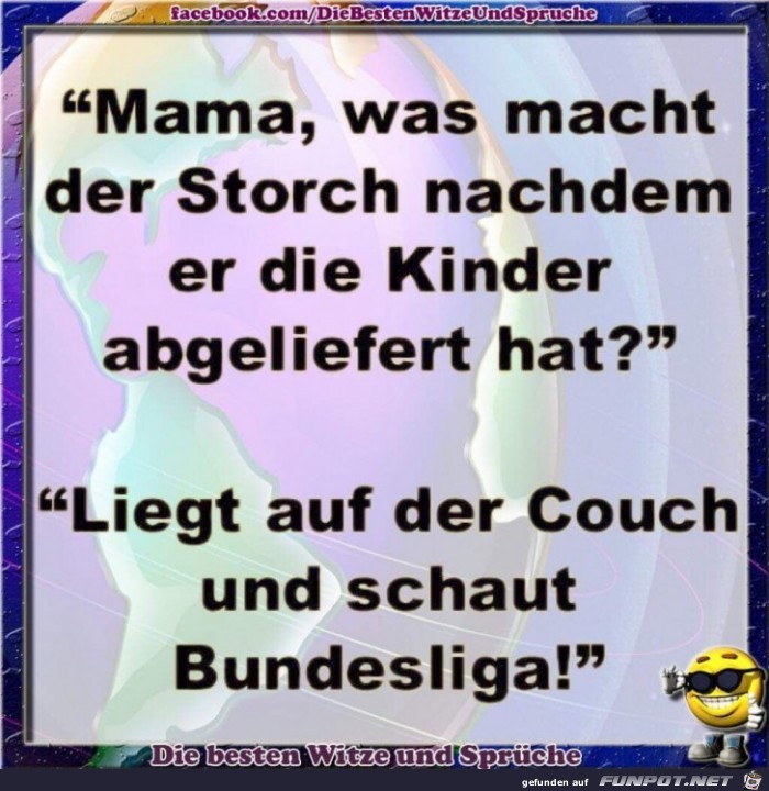 Storch Storch