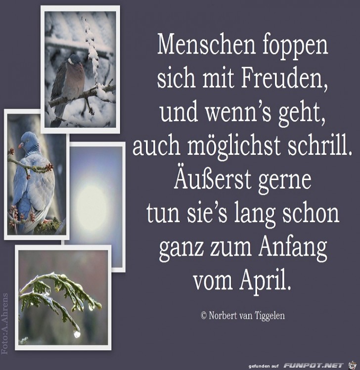 April-Foppen 2019 April-Foppen 2019