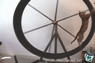 Und weg aus dem Rad Und weg aus dem Rad