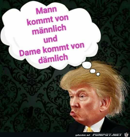Dann ist er eine Dame Dann ist er eine Dame