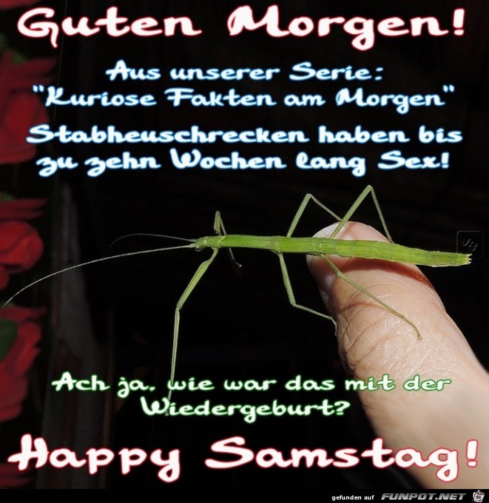 Samstag Samstag
