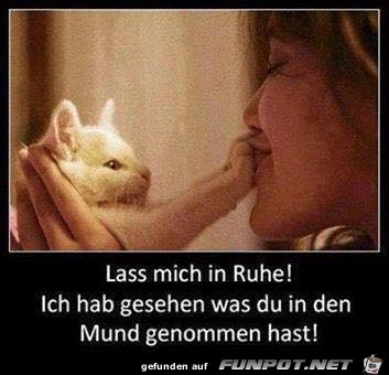 Geh weg Geh weg