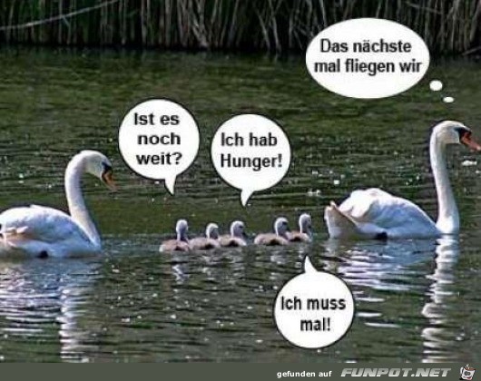 Familien-Ausflug Familien-Ausflug