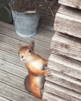 Das stopf ich auch noch rein Das stopf ich auch noch rein